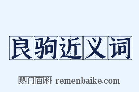 良驹近义词是什么意思的图片